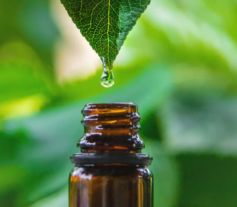 buy kratom in woodbridge