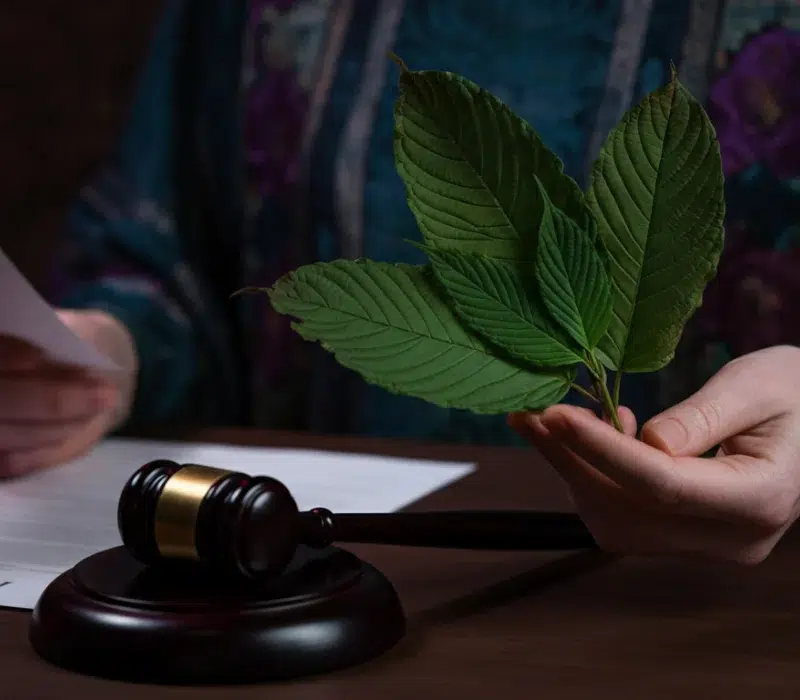 buy kratom in Houston