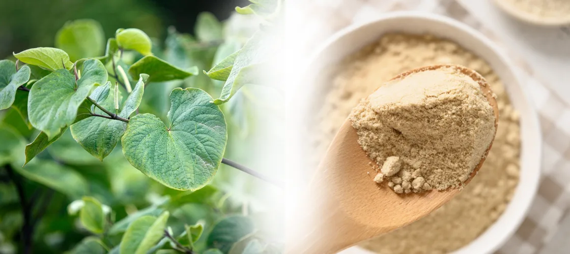 how to make kava