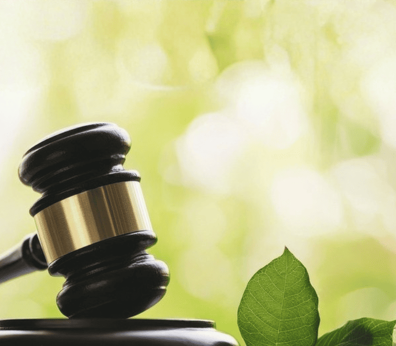 Is Kratom Legal In Cuyahoga Falls Let’s Find Out!